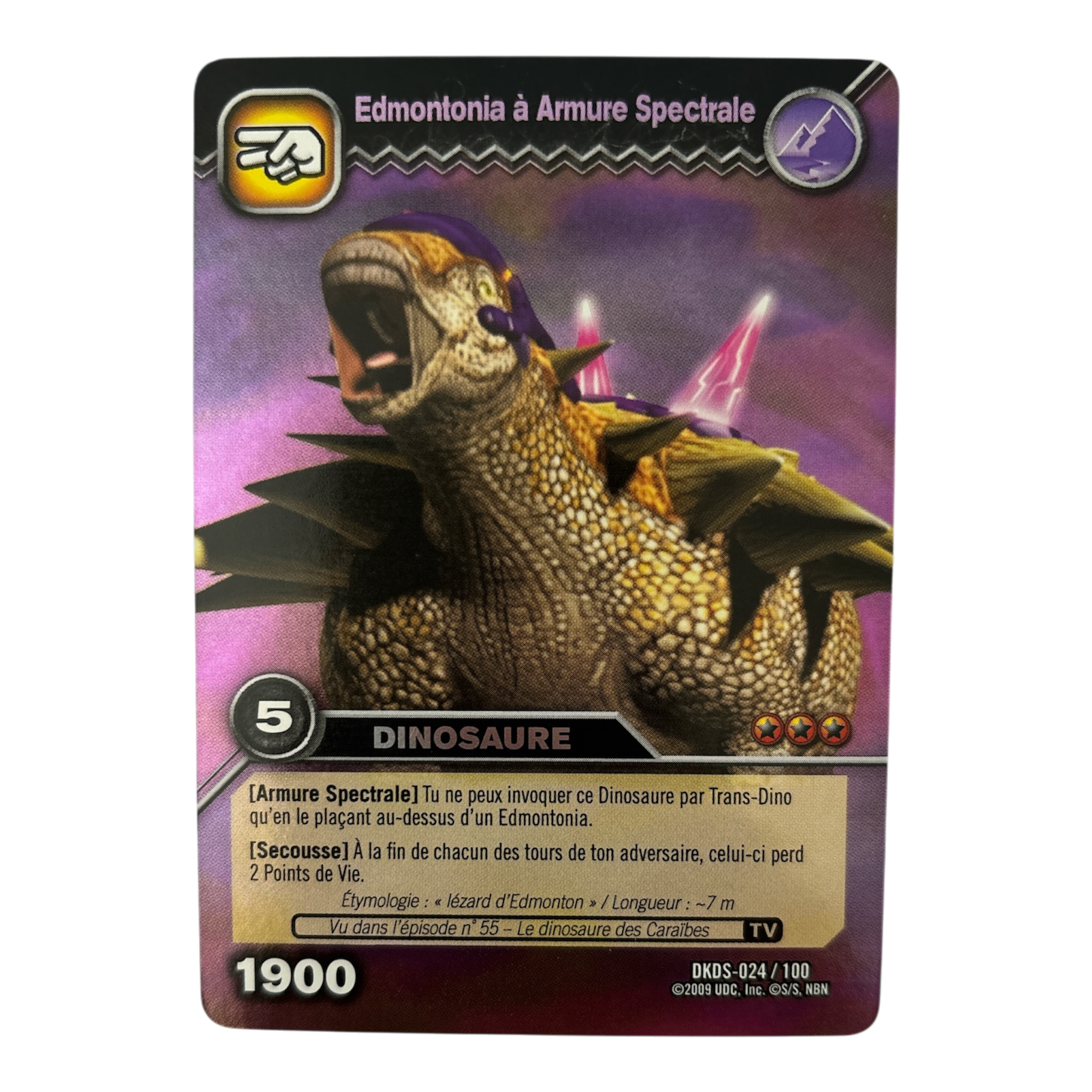 DKDS-024 Edmontonia à Armure Spectrale