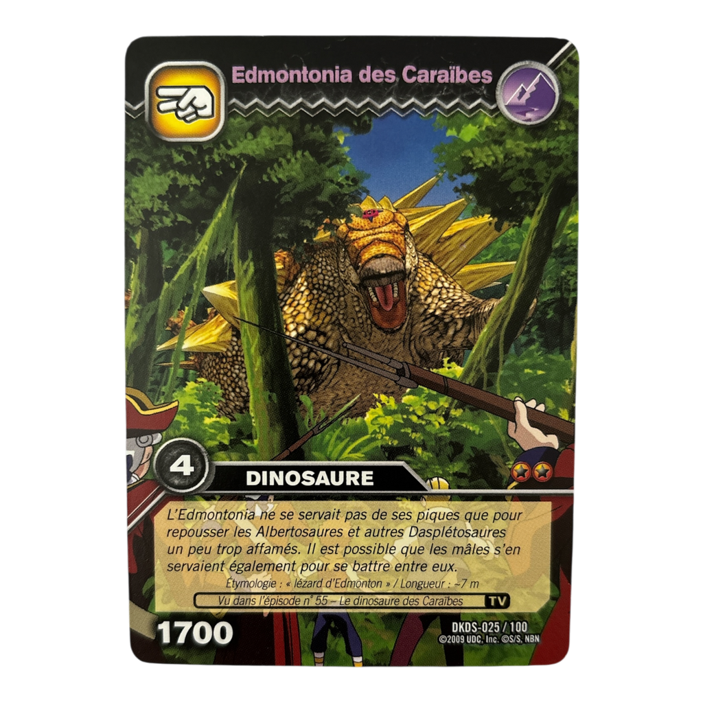DKDS-025 Edmontonia des Caraïbes