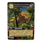 DKDS-025 Edmontonia des Caraïbes