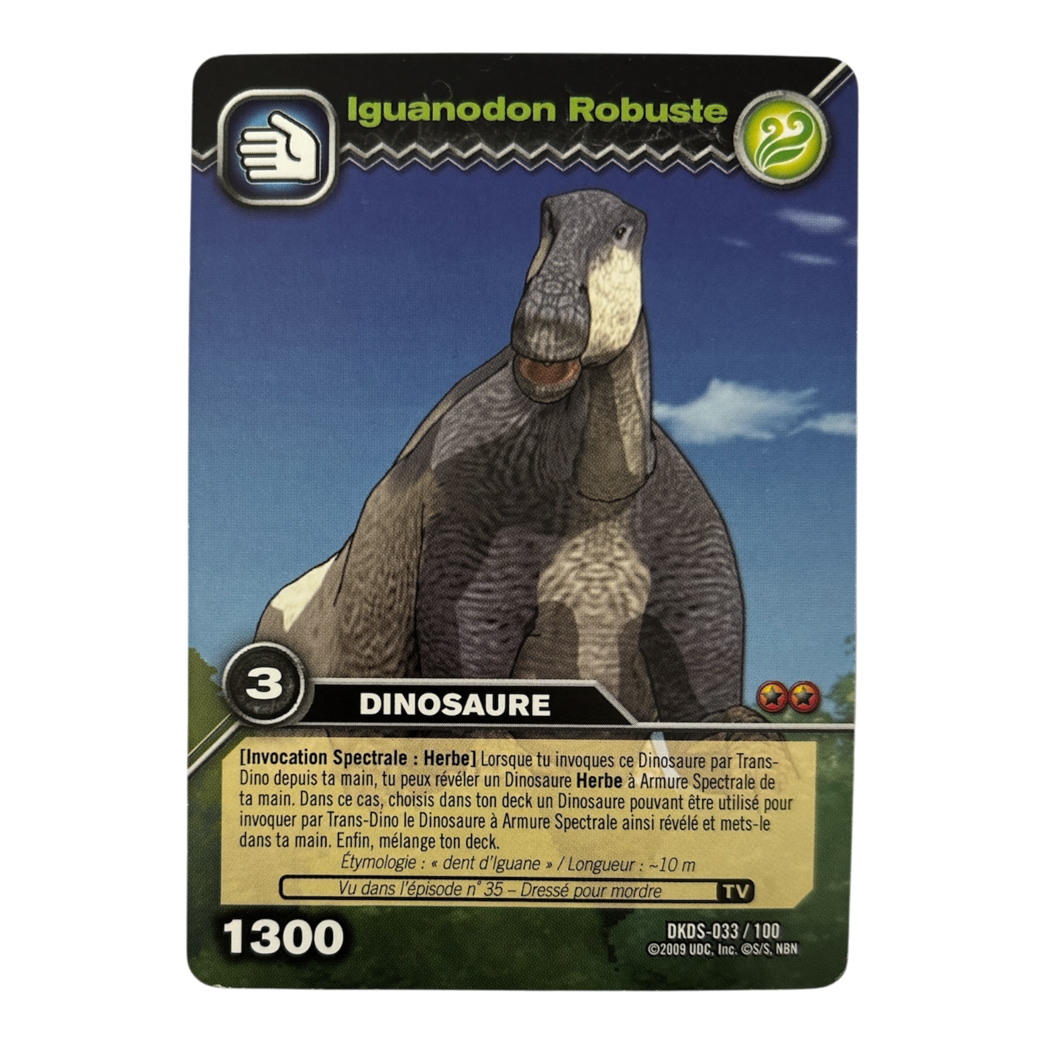 DKDS-033 Iguanodon Robuste