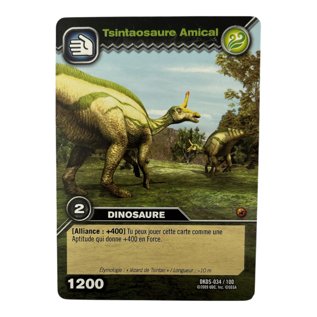DKDS-034 Tsintaosaure Amical