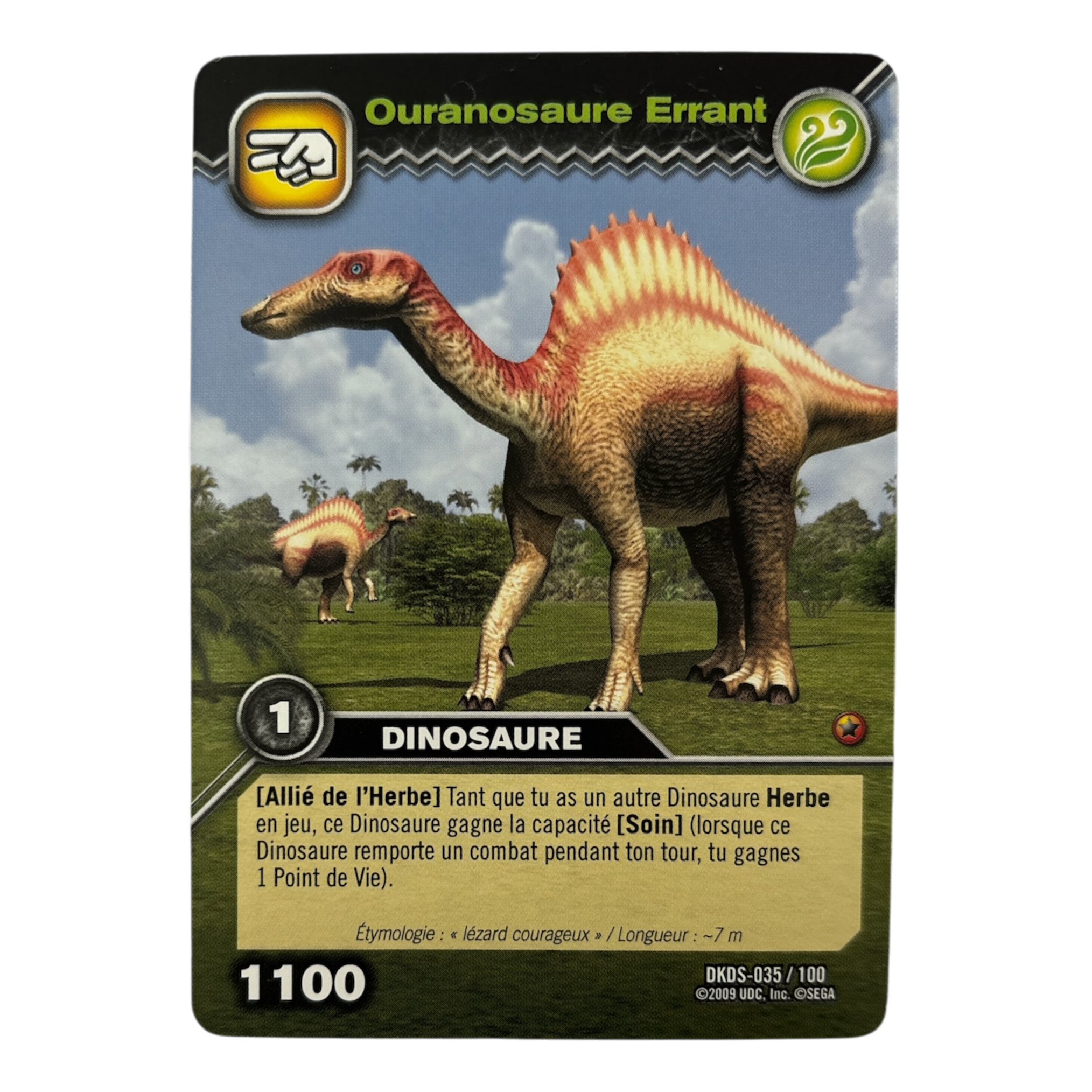 DKDS-035 Ouranosaure Errant