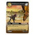 DKDS-041 Piatnitzkysaure Gladiateur