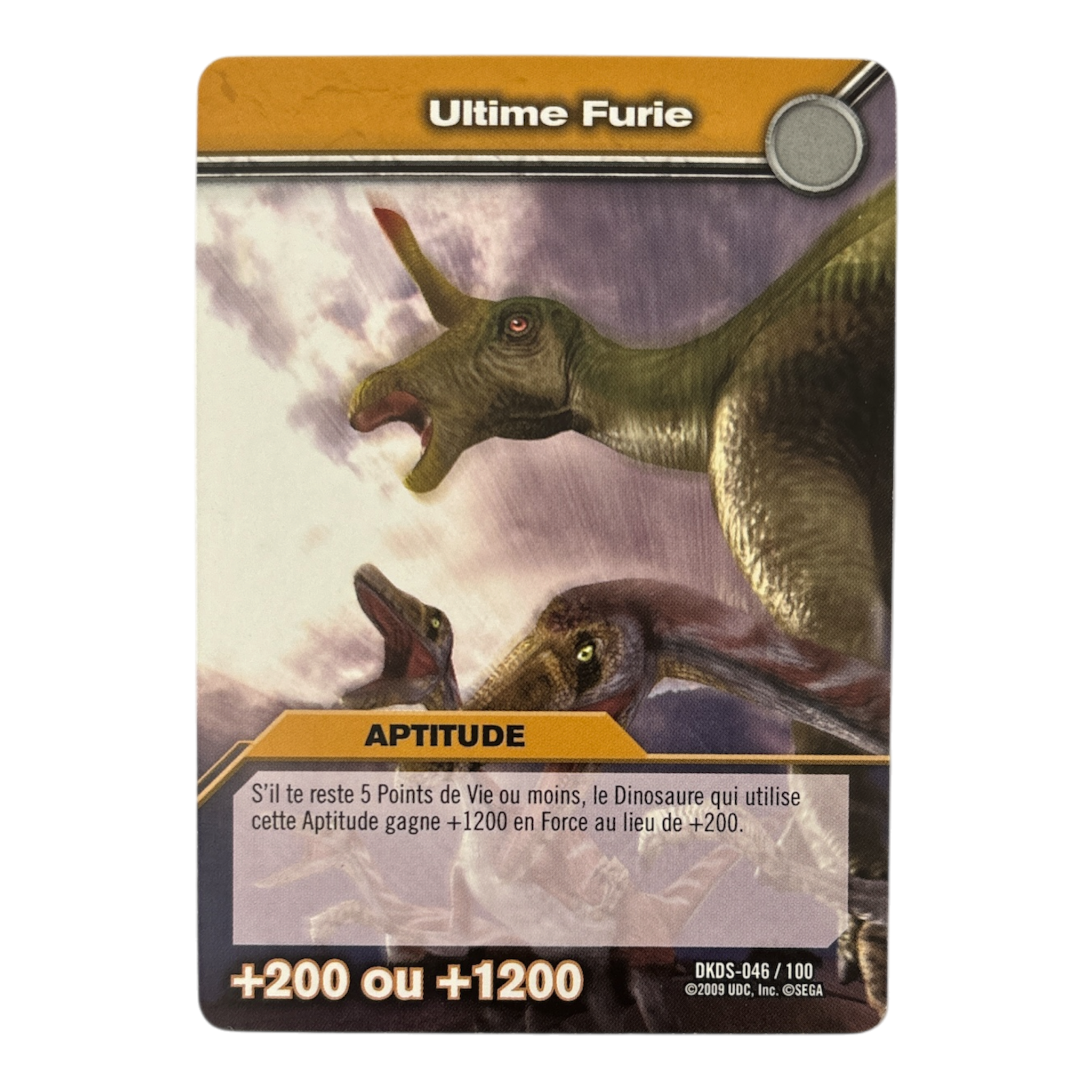 DKDS-046 Ultime Furie