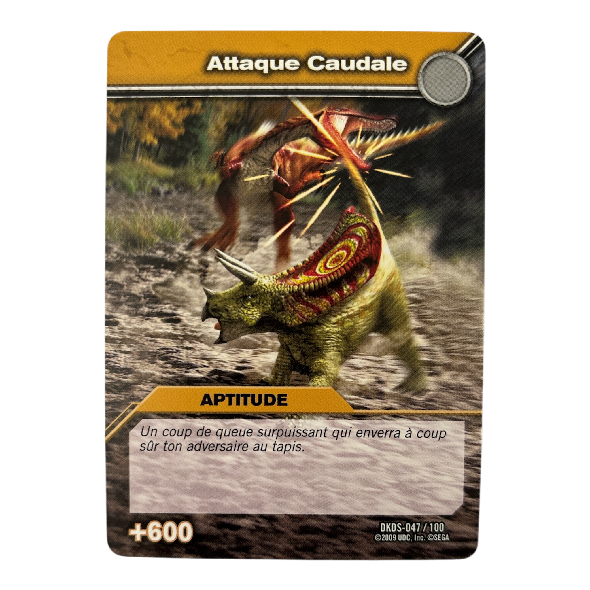 DKDS-047 Attaque Caudale