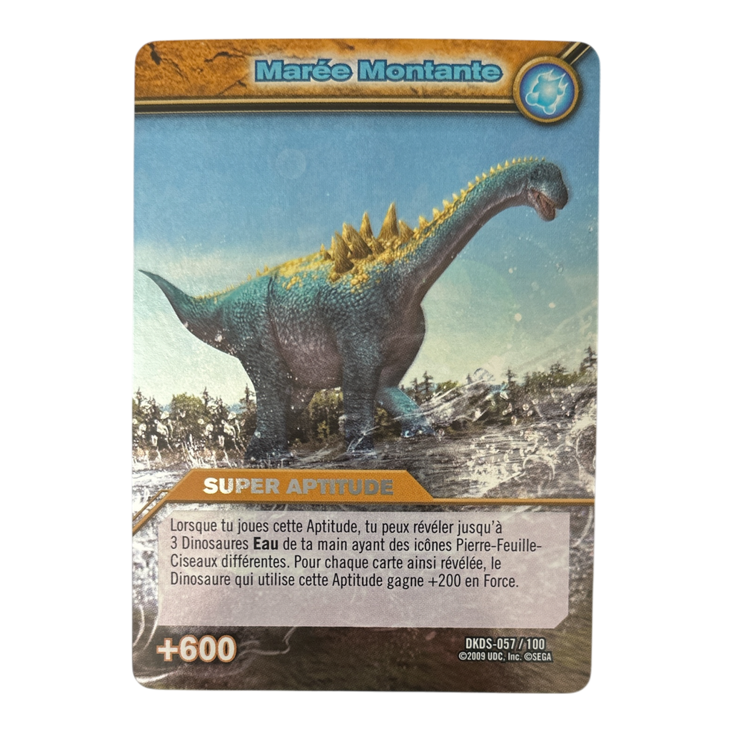DKDS-057 Marée Montante