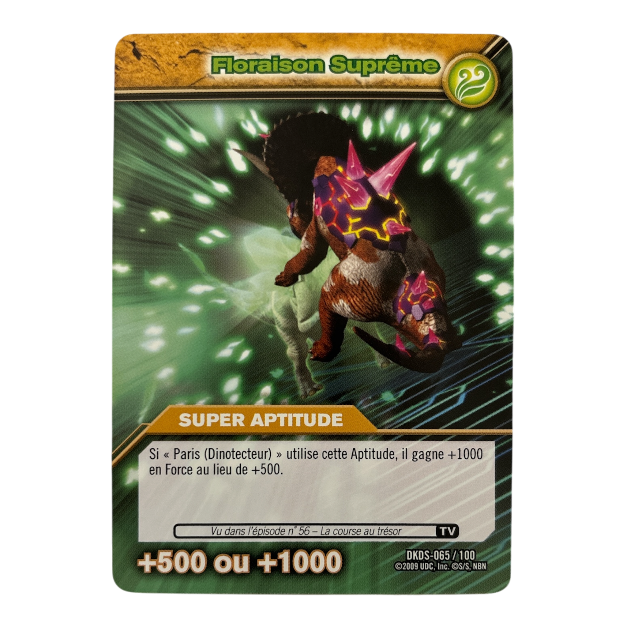 DKDS-065 Floraison Suprême