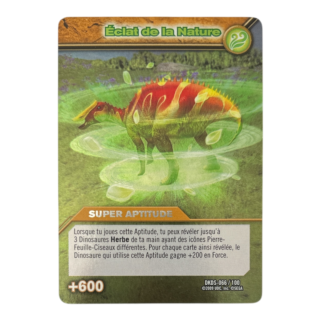 DKDS-066 Éclat de la Nature