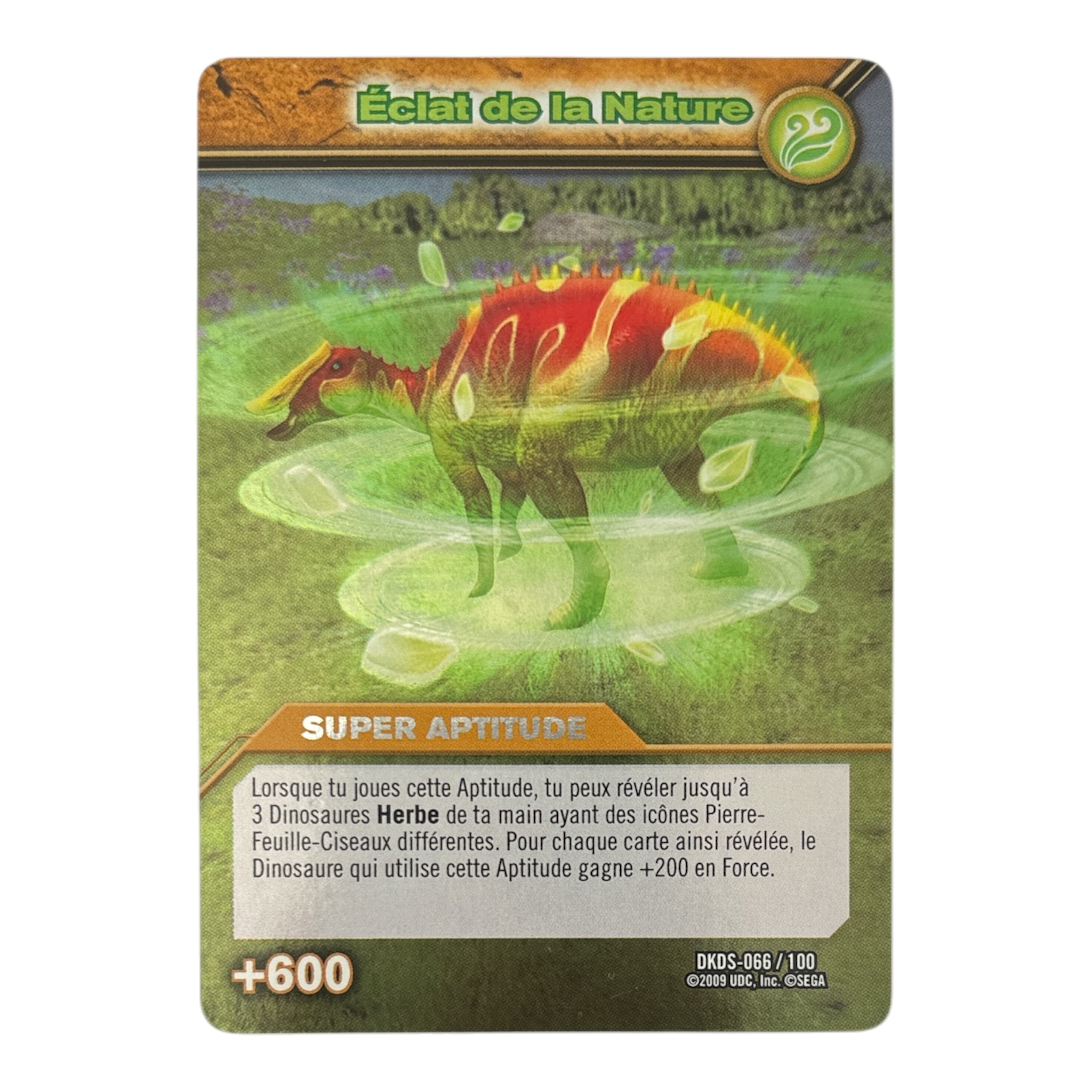 DKDS-066 Éclat de la Nature