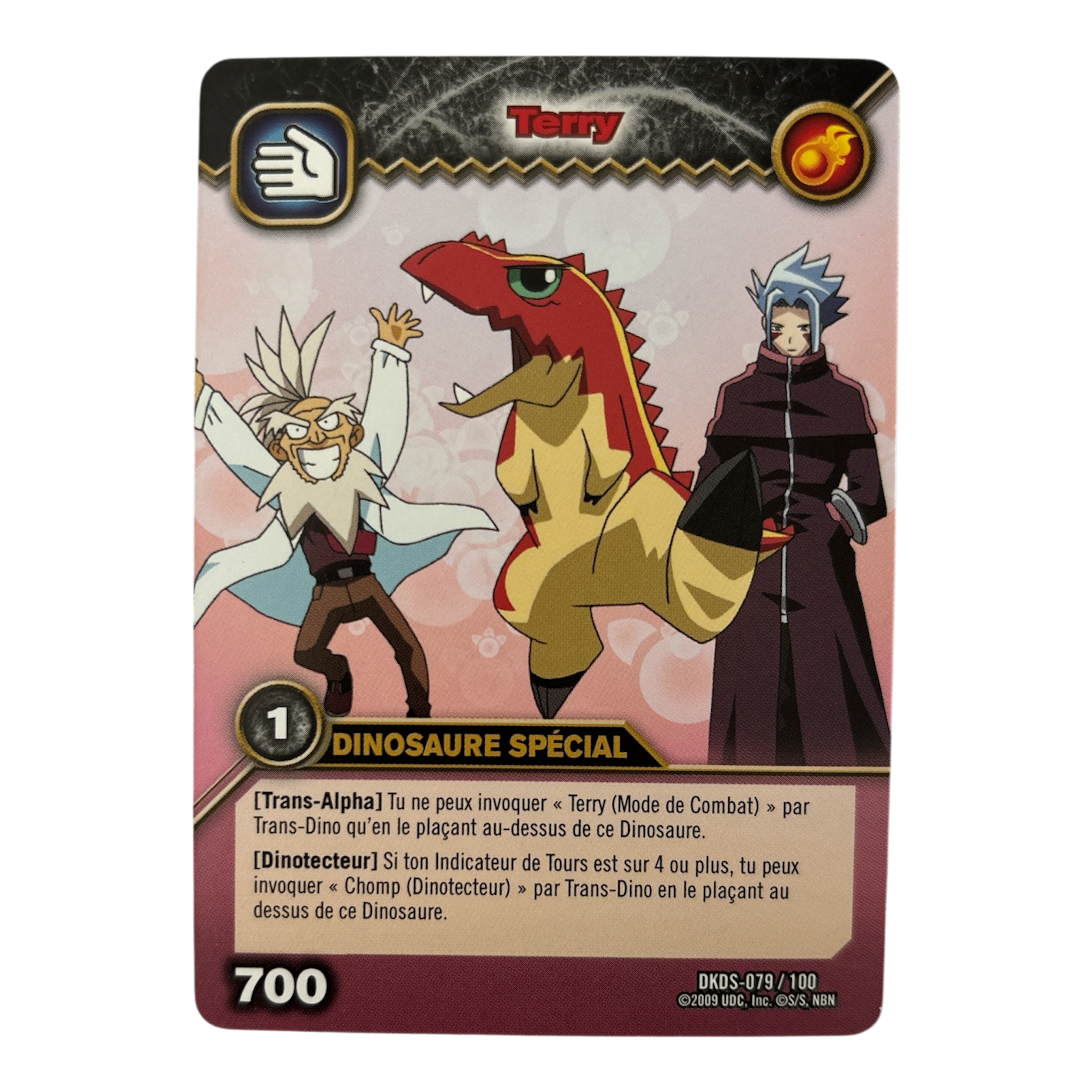 DKDS-079 Terry