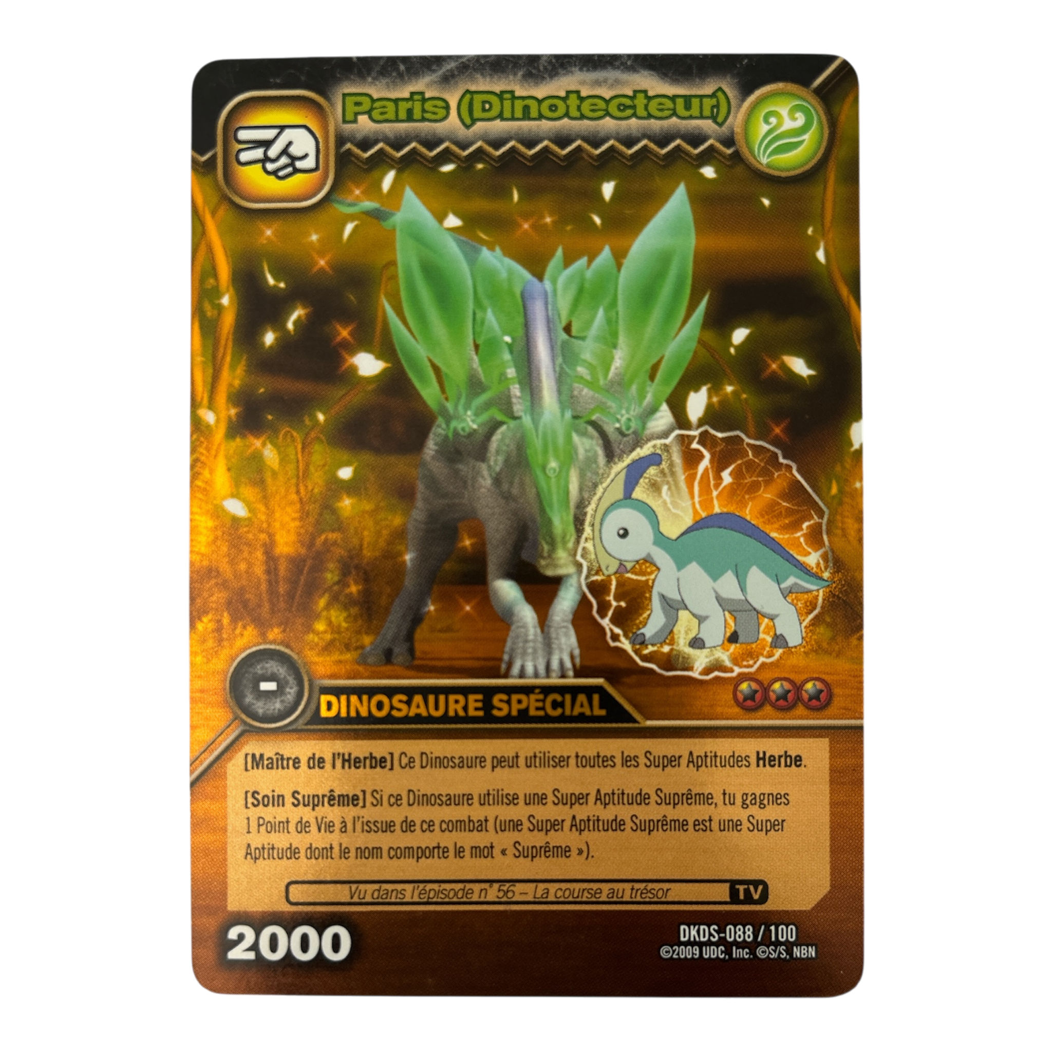 DKDS-088 Paris (Dinotecteur)