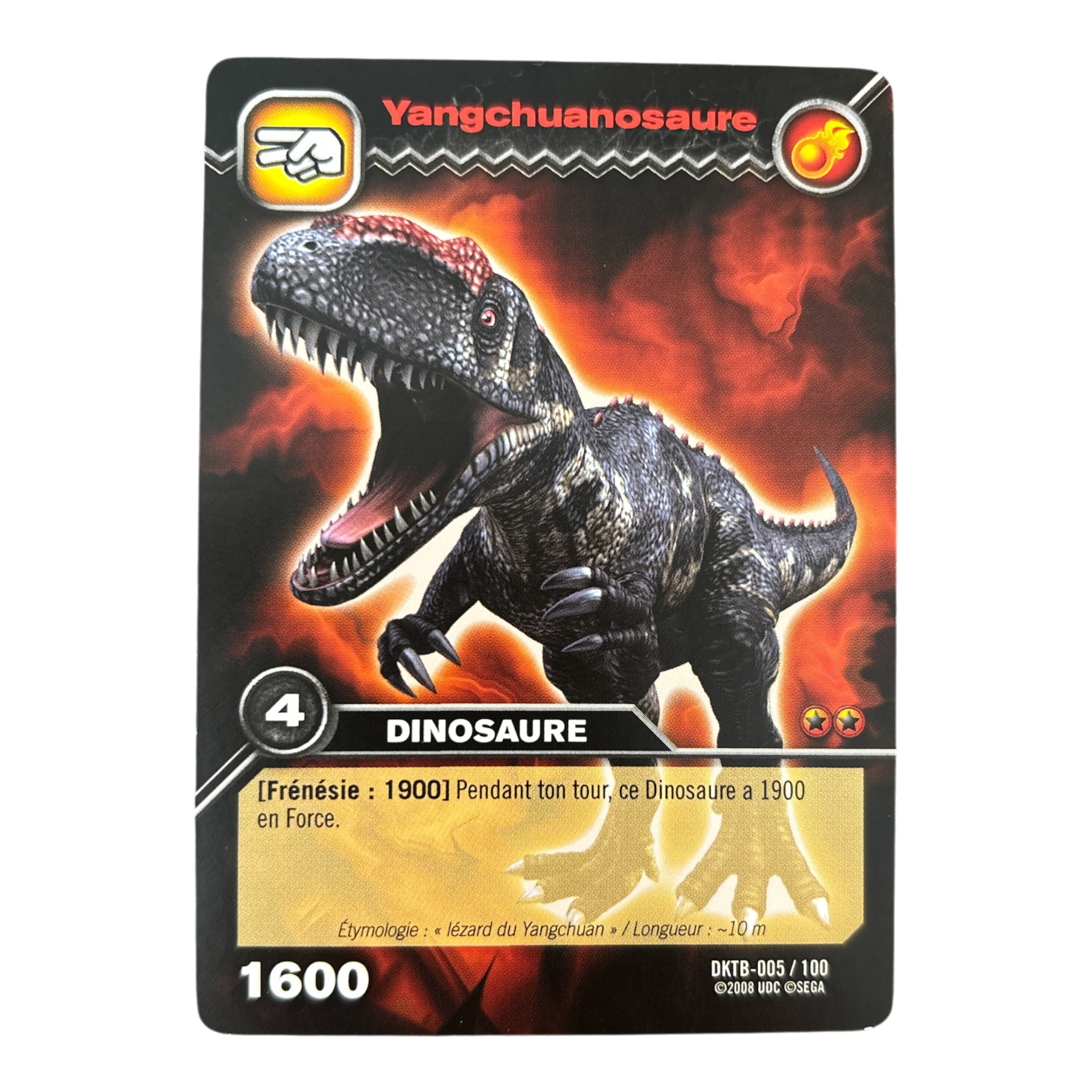 DKTB-005 Yangchuanosaure