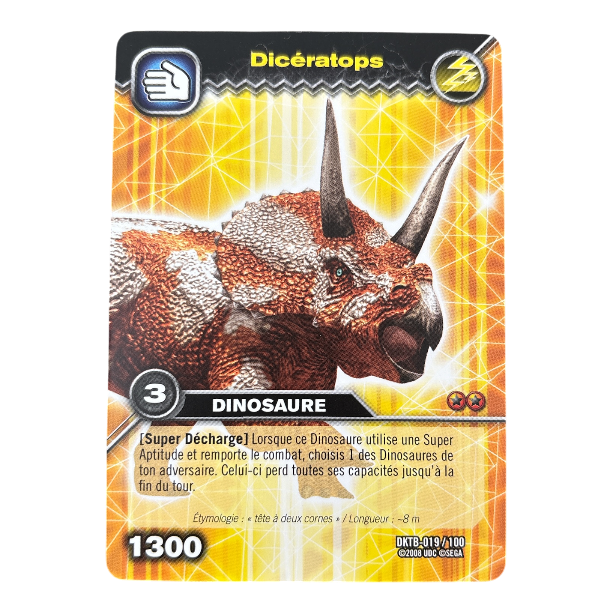 DKTB-019 Dicératops