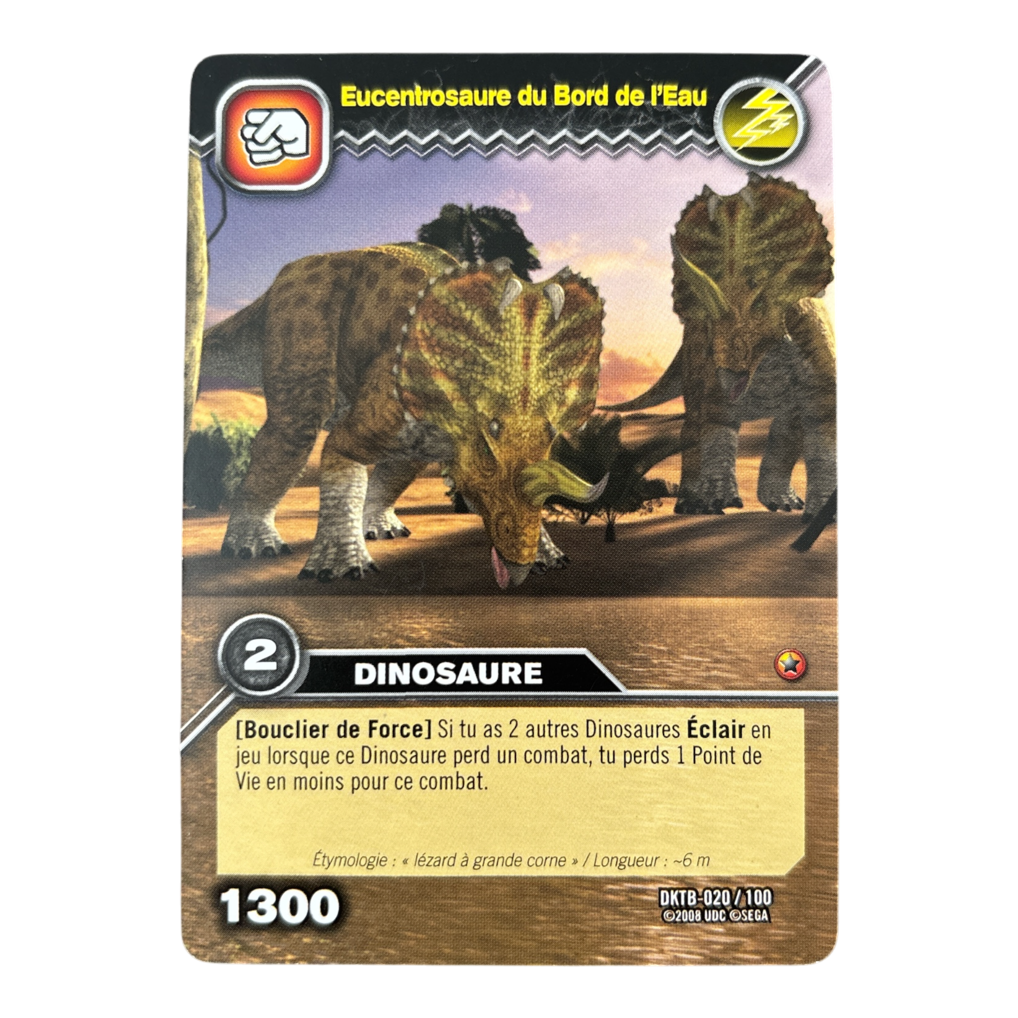 DKTB-020 Eucentrosaure du Bord de l'Eau