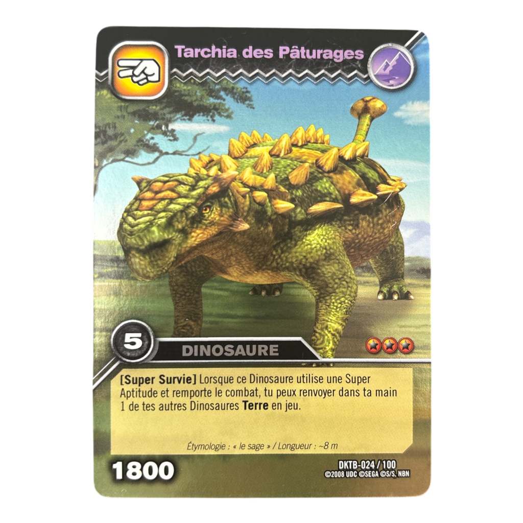 DKTB-024 Tarchia des Pâturages