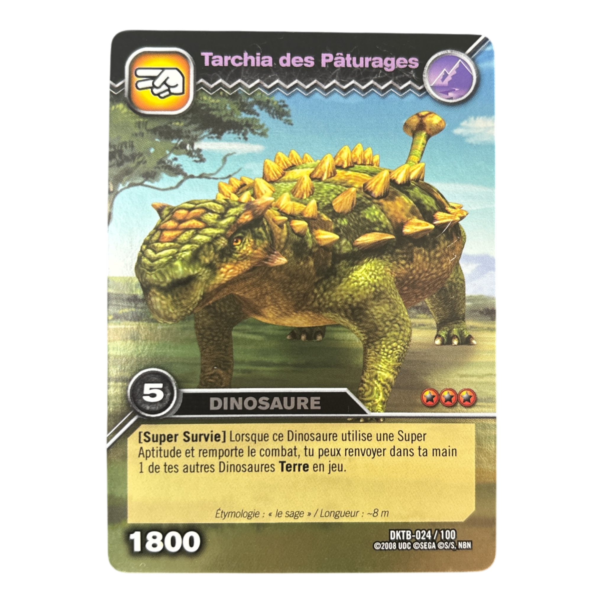 DKTB-024 Tarchia des Pâturages