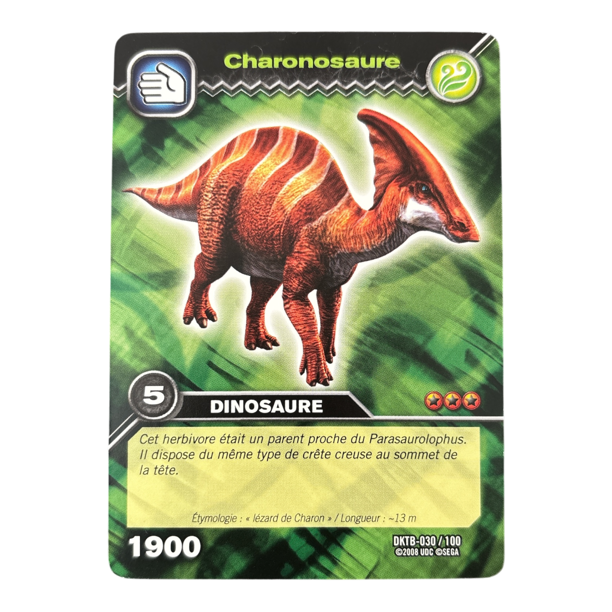 DKTB-030 Charonosaure