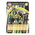 DKTB-032 Anatotitan Tacheté
