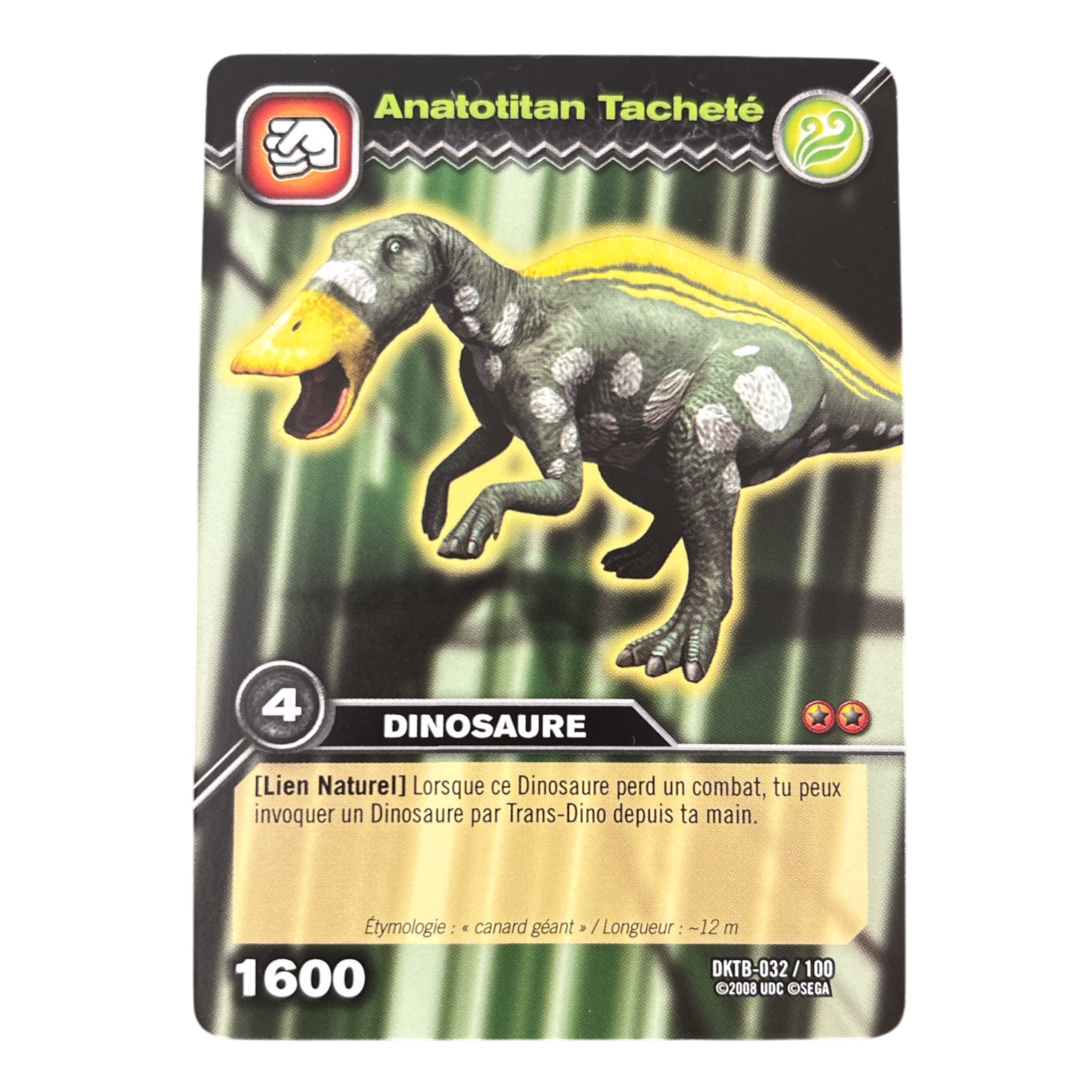 DKTB-032 Anatotitan Tacheté
