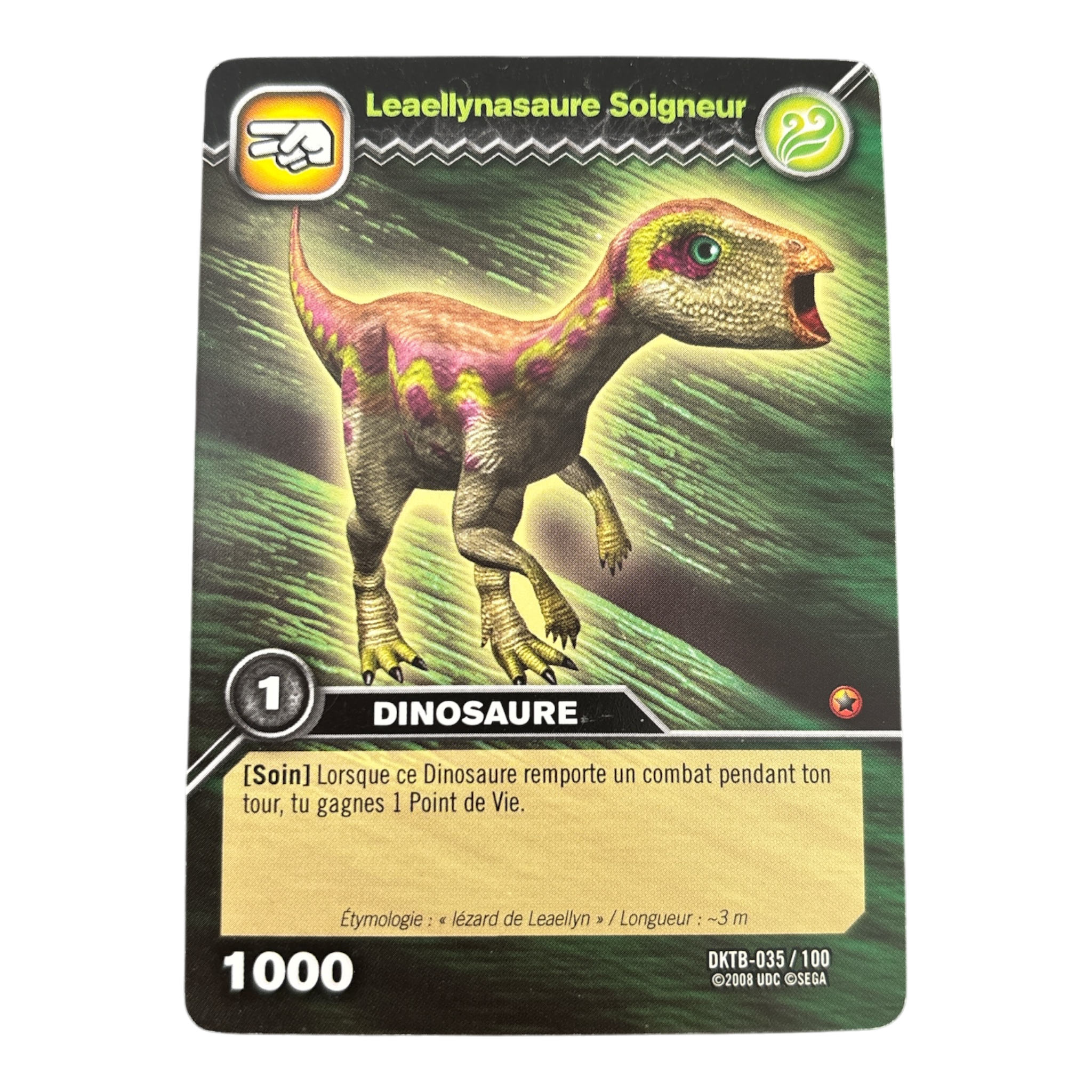DKTB-035 Leaellynasaure Soigneur