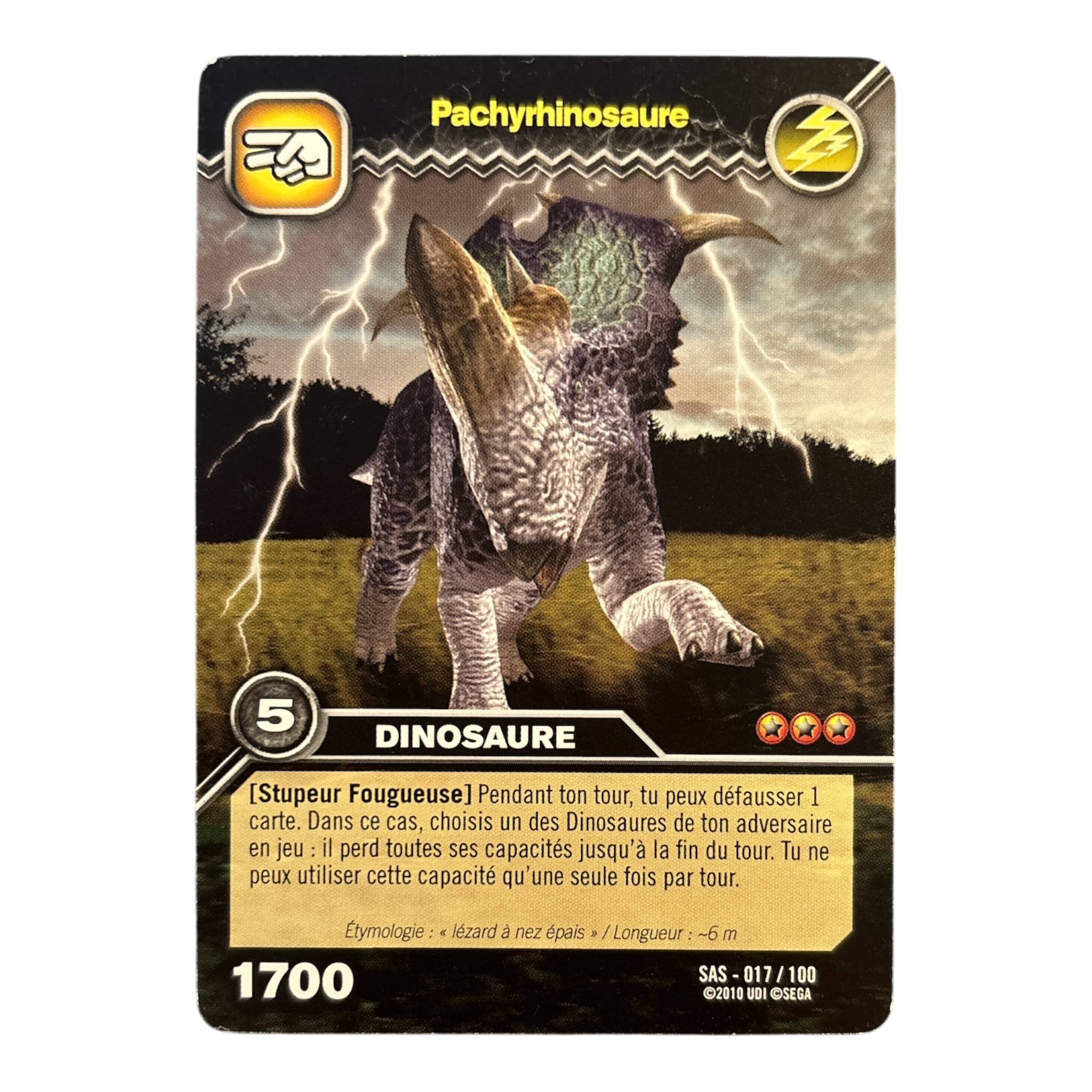 SAS-017 Pachyrhinosaure