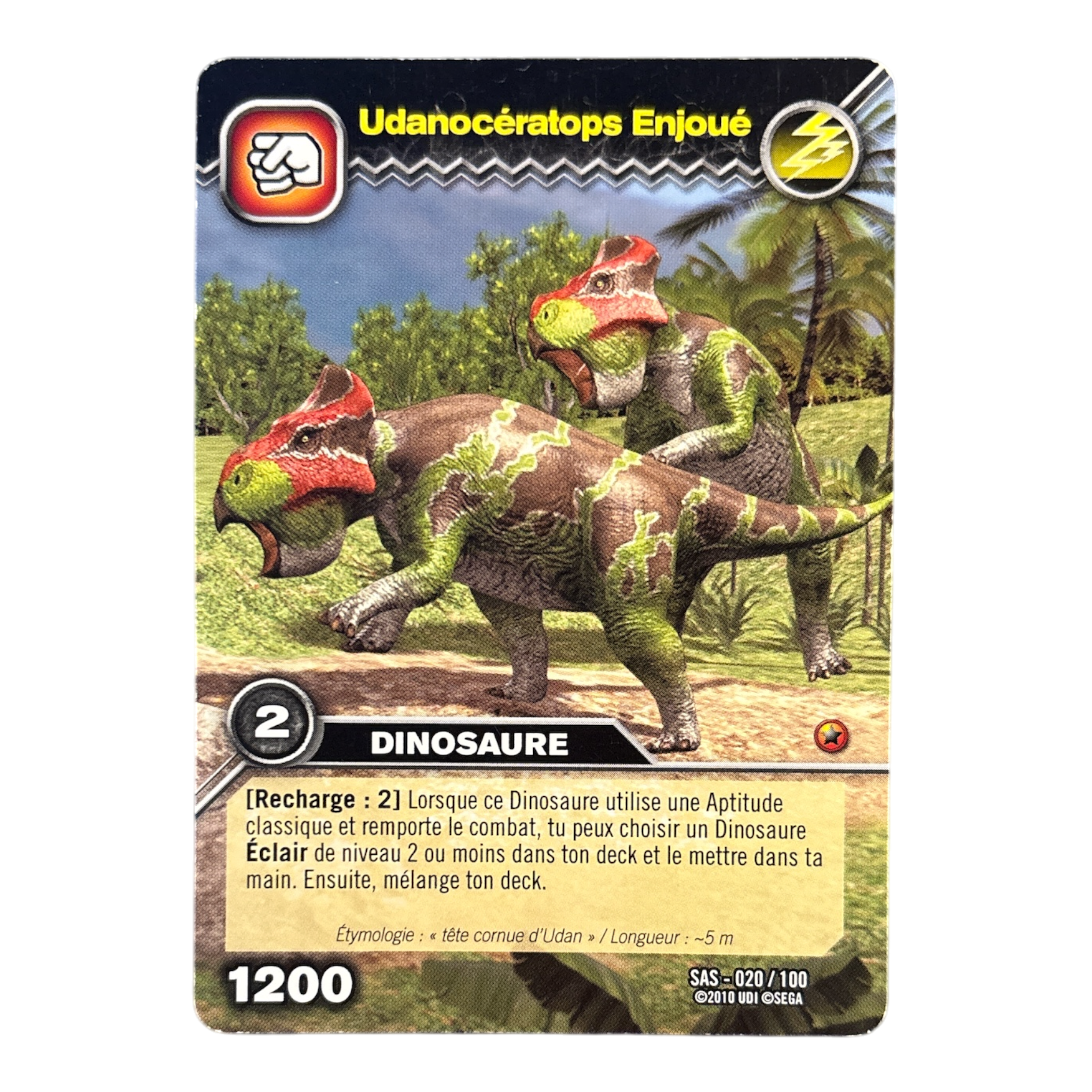 SAS-020 Udanocératops Enjoué