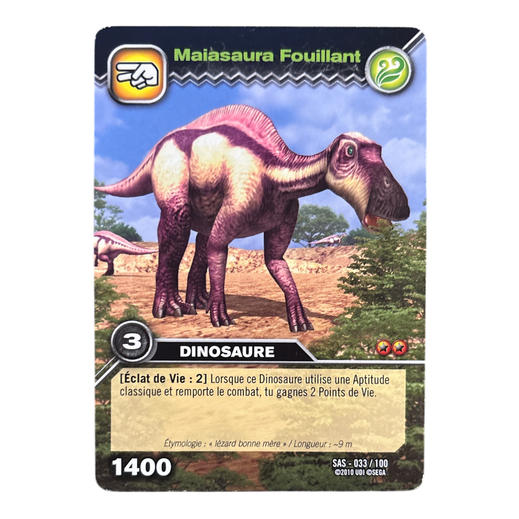SAS-033 Maiasaura Fouillant