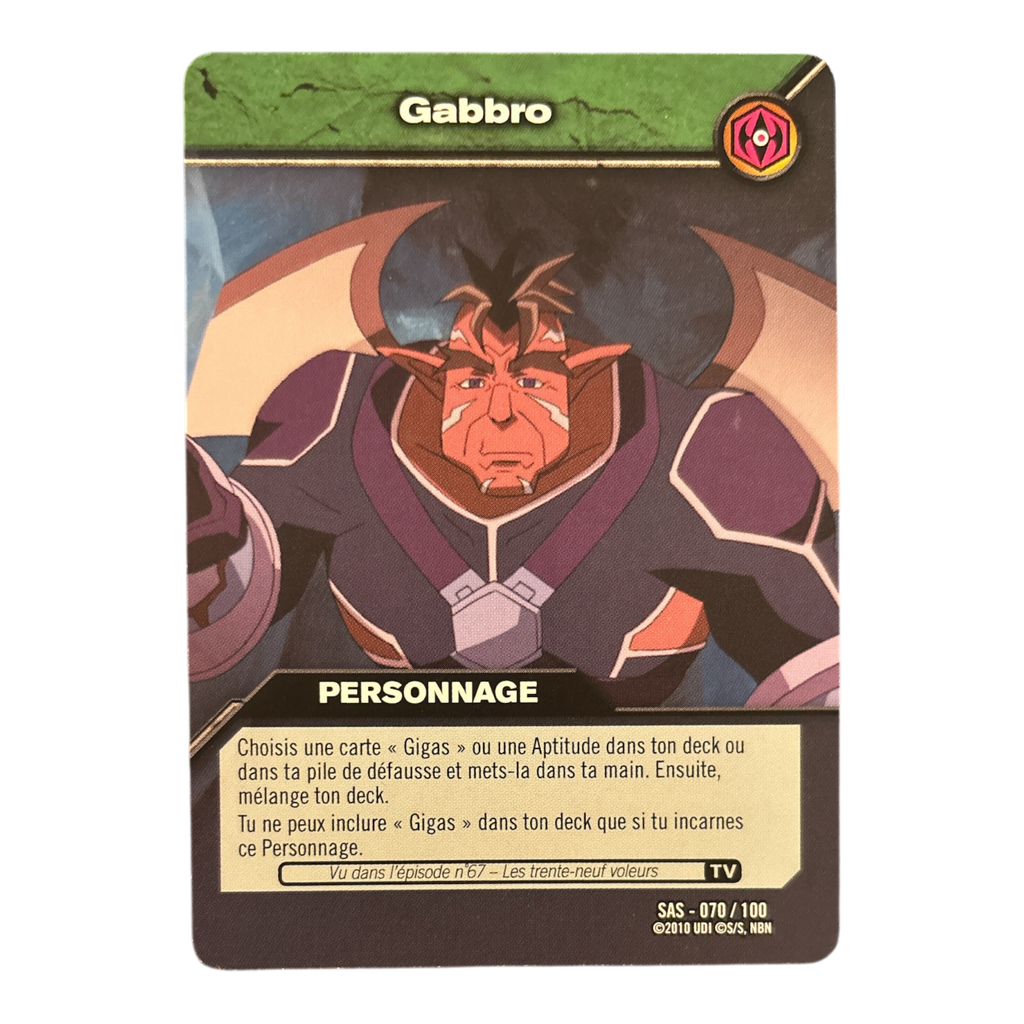 SAS-070 Gabbro